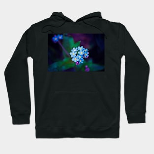 Forget Me Not Flowers Hoodie